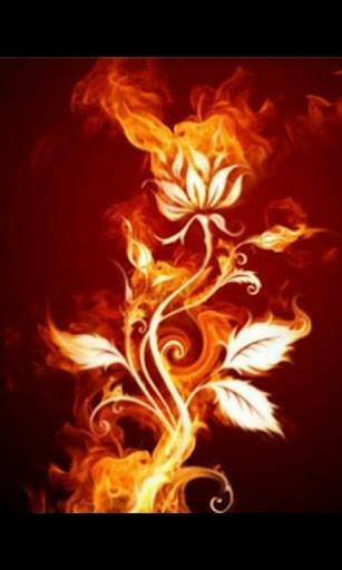 Flame Rose 3d Live Wallpaper For Android Appszoom