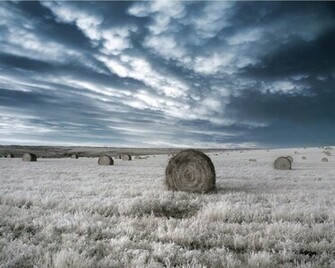 Wallpaper Storm Animaatjes