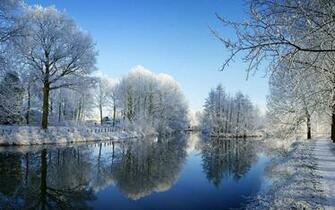 Winter Beautiful Rime Scenery Wallpaper Landscape