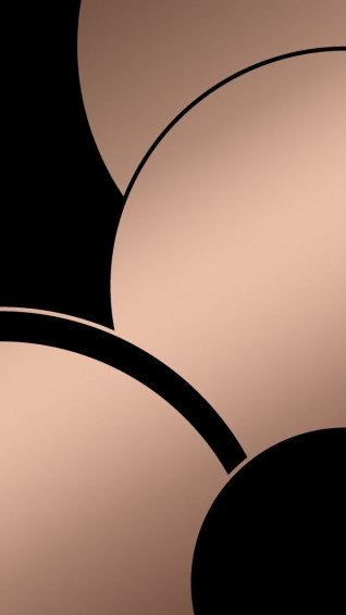 Black Rose Gold Wallpaper