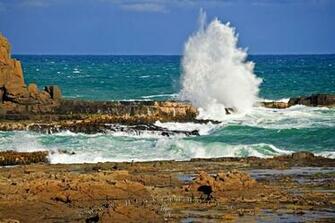 Wallpaper Background Coastal Ocean Biomes
