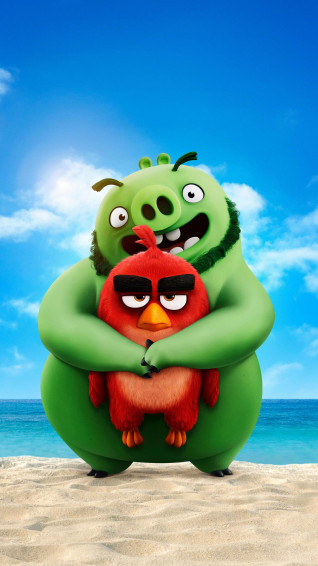 Movie Piggy And Birdy The Angry Birds Wallpaper