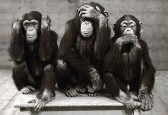 Otenkipass Le Secret Des Trois Singes Sages