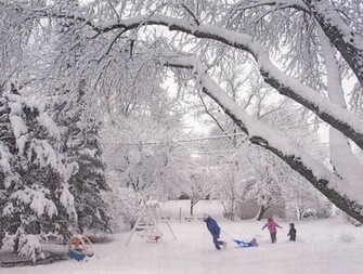 Snow Falling Wallpaper