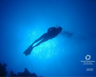 Scuba Diving Wallpaper