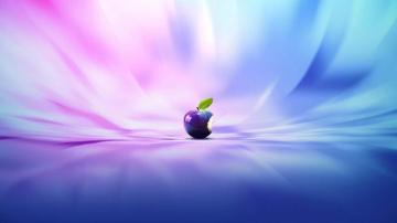 Lion Screensavers And Wallpaper Android iPhone Desktop
