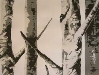Birch Trees Modern Wallpaper By The Metre