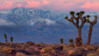 Death Valley Wallpaper Nature