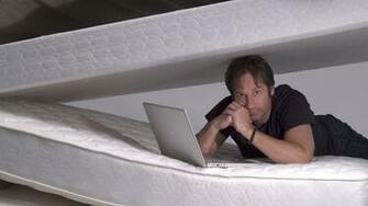 David Duchovny HD Wallpaper Background Image Id