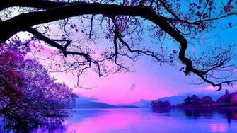Purple Tree Wallpaper