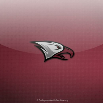 Thumbs North Carolina Central University Eagles iPad Wallpaper