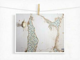 These Walls Hold Memories Is A Dark And Moody Rustic Decay