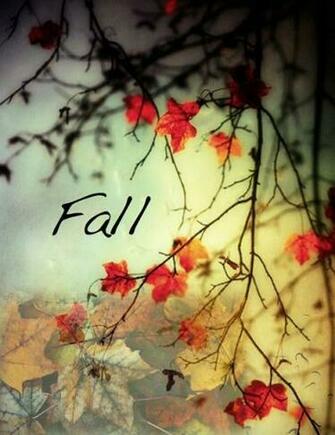 Cell Phone Wallpaper Lock Scree