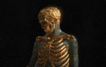 Wallpaper Darkness Skull Teeth Bones Skeleton Gold