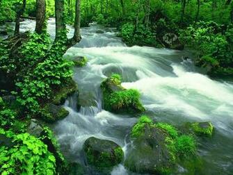 Nature Screensaver Forum Alev Wonderful
