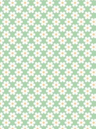 Daisy Flowers iPhone Wallpaper