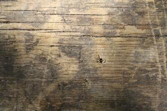 Wooden Boards Texture Background Wood