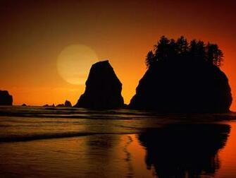 Beach Olympic National Park Washington Wallpaper Hq