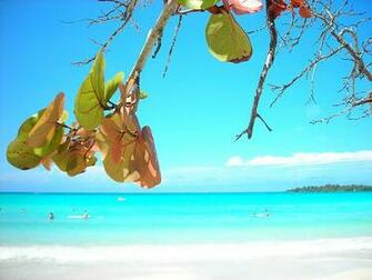Jamaican Beach Nap
