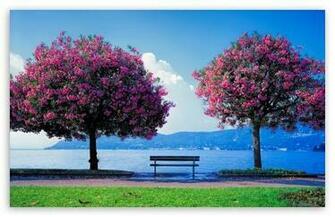 Spring Fishing HD Wallpaper For Standard Fullscreen Uxga Xga
