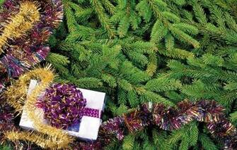 Wallpaper Holiday Gift Tree New Year Tinsel Image For Desktop