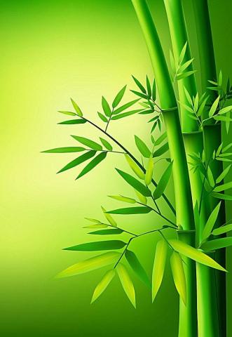 Green Nature Wallpaper