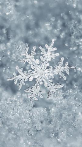 Winter Wallpaper iPhone Net