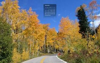 To Disk Or Set As Wallpaper Directly Widescreen