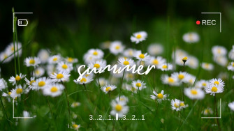 And Customizable Summer Templates