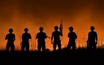 Pictures Symbols And Such Honoring All Veterans To Celebrate