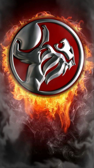 Holden Hq Lions Team
