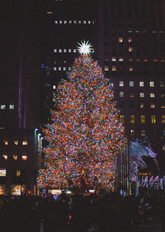 New York Christmas Pictures Image