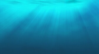 Aquatic And Large Of Activity A Photography