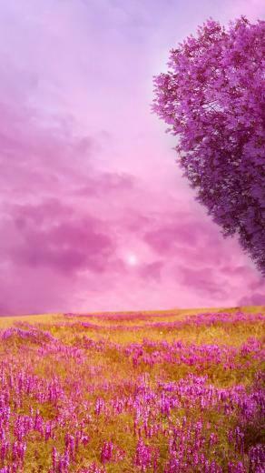 Spring Nature HD Wallpaper For Android