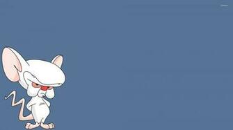 Brain From Pinky And The Wallpaper Cartoon