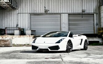 White Lamborghini Gallardo Desktop Wallpaper