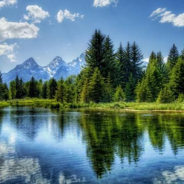 Wallpaper Lake Mountain Tree Water
