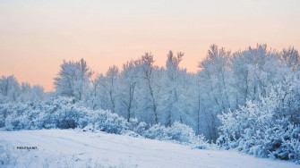 Winter Snow Desktop Wallpaper