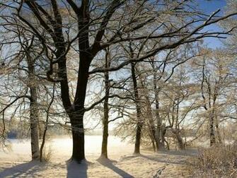 Winter Scenery Wallpaper