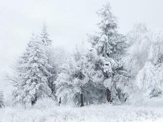 File Snow Scene At Shipka Pass Jpg Wikipedia The