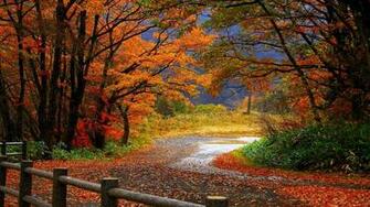 Autumn Wallpaper Best