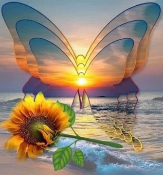 Butterflies Wallpaper