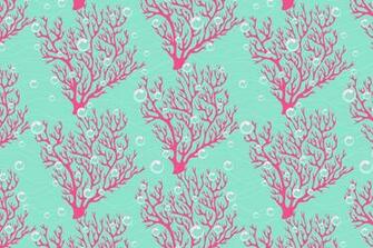 Corals And Fishes Illustrations On Creative Market