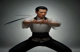 Ip Man Wallpaper HD