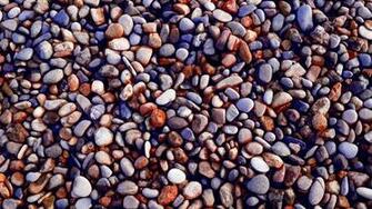 Wallpaper Stones Gravel Surface Ecopetit Cat