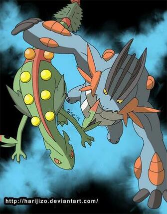 Mega Sceptile Swampert By Harijizo