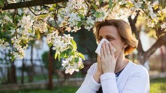 Daily Dose The Spring Allergy Facts You Need Right Now