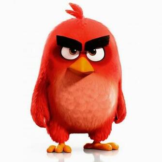 Red Angry Birds Movie Wallpaper HD Background Of Your