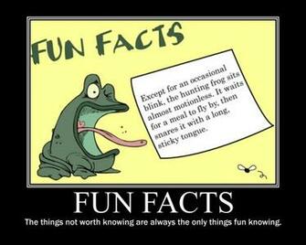 Funny Weird Facts Cool Wallpaper