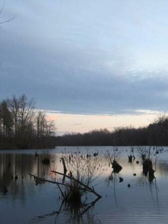 Sitting Duck Check Out Ducks Unlimiteds Hunt